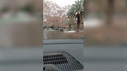 Nieve en Mendoza