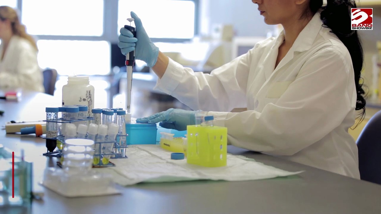 Wissenschaftler versuchen, menschliche DNA herzustellen