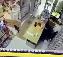 Genie or Ginger Grocery Owner Flees Haunted Box