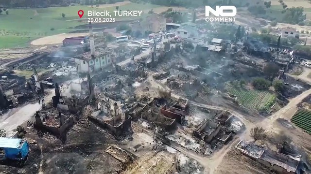 Turquia combate incêndios florestais enquanto onda de calor atinge Europa