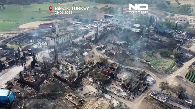 Turkey battles wildfires as heatwave grips Europe