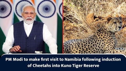 PM Modi to make first visit to Namibia following repopulation of Cheetahs into Kuno Tiger Reserve