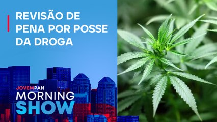 PORTE DE DROGAS! CNJ REVISA PENAS por maconha após decisão do STF; VEJA O DEBATE