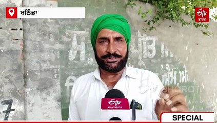 ਖ਼ਤਮ ਹੋਣ ਕੰਢੇ ਪੰਜਾਬ ਦੀ ਕੋਟਨ ਇੰਡਸਟਰੀ, ਕਾਰੋਬਾਰੀ ਅਤੇ ਕਿਸਾਨਾਂ ਨੇ ਦੱਸੀ ਪਰੇਸ਼ਾਨੀ, ਮਾਹਿਰ ਨੇ ਦਿੱਤੇ ਸੁਝਾਅ