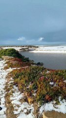 Miramar, teñida de blanco: las impactantes imágenes de la playa cubierta de nieve