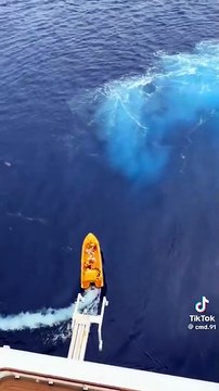 Bimba cade da nave da crociera