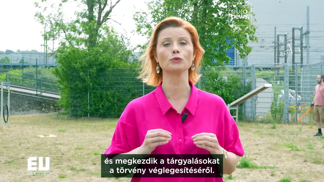 Az új állatjóléti törvény megfékezi az illegális kereskedelmet?