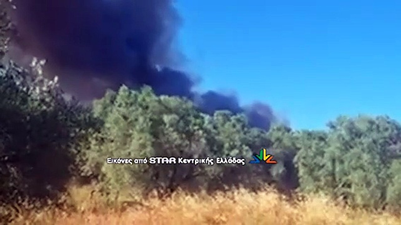 Μεγάλη φωτιά στην Ανατολική Φθιώτιδα- Δείτε ρίψεις