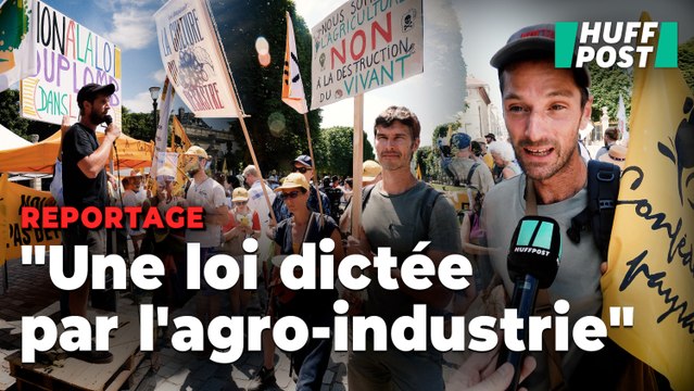 Devant le Sénat, le courroux de ces agriculteurs contre la loi Duplomb, « dictée par l’agro-industrie »
