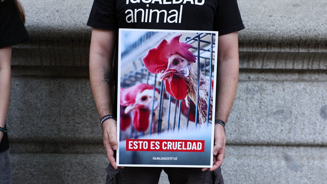Igualdad Animal protesta frente al hotel Santo Mauro