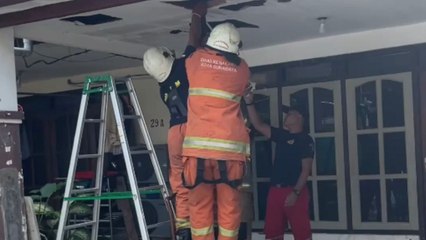 Fire department summoned after the discovery of a python on roof of resident's house