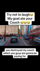 Brooke & Jubal - Funny Prank Call - 006