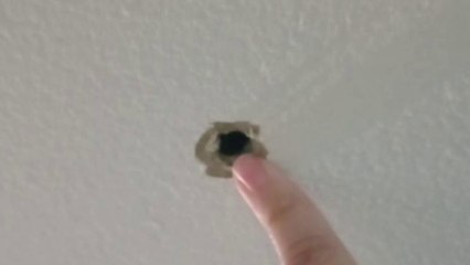 tn7-video-capto-incidente-en-el-erizo-de-alajuela-300625