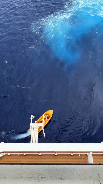 Rescatan a niña tras caer de crucero de Disney