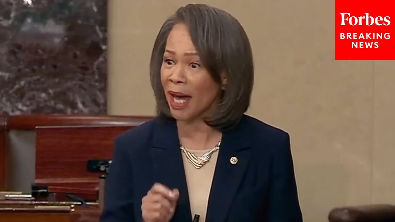 'Do We Stand For Billionaires Or Do We Stand Up For Moms And Babies?': Lisa Blunt Rochester Slams BBB