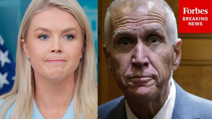 Karoline Leavitt Issues Blunt Response To Thom Tillis's Criticisms To The Big Beautiful Bill