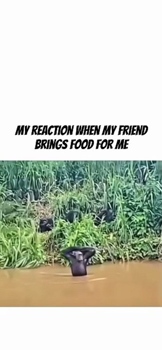 when my friend brings food for me