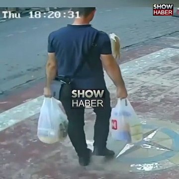 Samsun’da yediği şey yüzünden nefes alamayan bir kediye Heimlich manevrası yapan adam 👏🏻