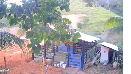 Fazendinha