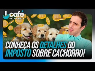 Conheça os detalhes do imposto sobre cachorro! | Café Antagonista #45