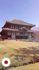 日本 Welcome to Japan #japan #日本 #jesta