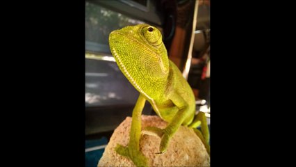 ESPORT Highlights for May-June 2025 🎮