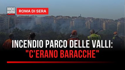 Municipio III, grande incendio al "Parco delle Valli". Parlavecchio (Protezione civile): "C'erano tante baracche nella Riserva"