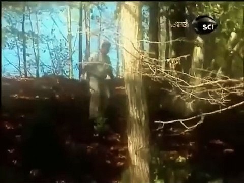 MASSACRE - PISTAS ESCARSAS - ID INVESTIGAÇÃO DISCOVERY