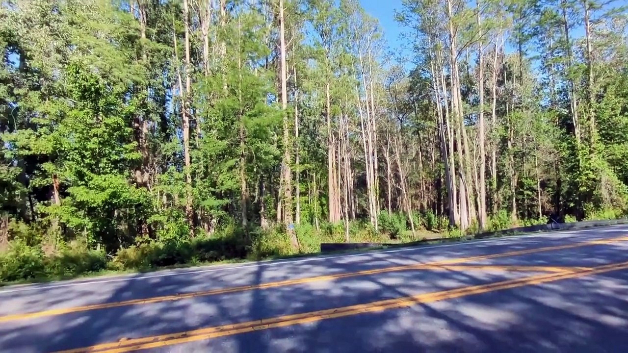 Top Orlando Real Estate Realtor Scott Garrison | Clermont | State Road 33, Clermont, FL 34711 |