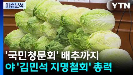[뉴스UP] '국민청문회' 배추 등장?...야, '김민석 지명철회' 총력전 / YTN