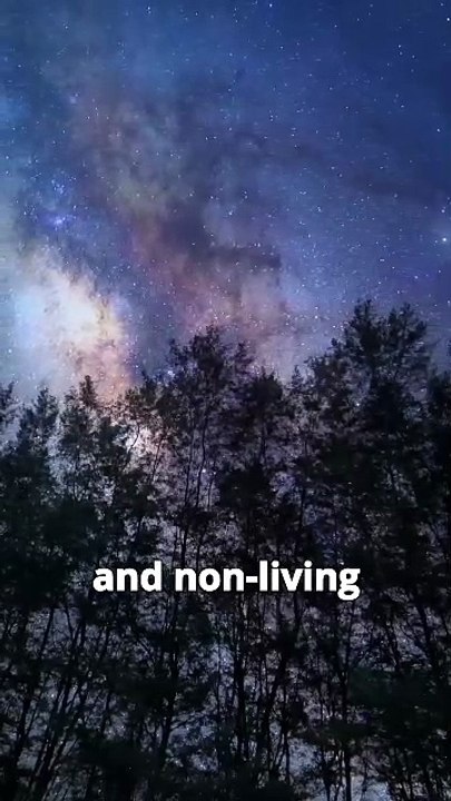 Rejoice_in_everything_that_surrounds_us