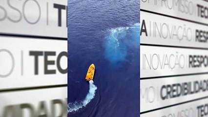 Pai pula para salvar filha