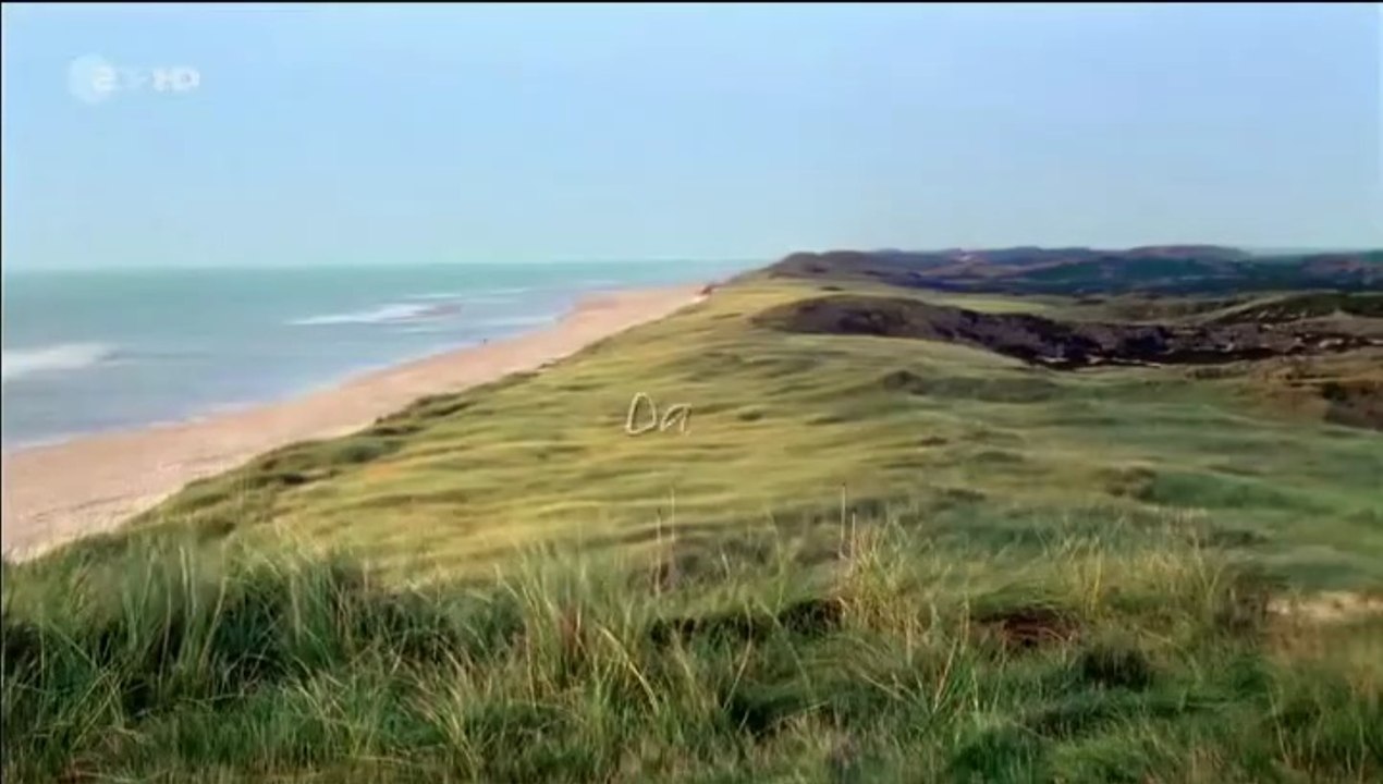 Dora Heldt -07- Herzlichen Glückwunsch Sie haben gewonnen