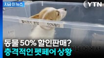 오늘이 마지막이니 '더 할인'... 충격적인 펫페어 상황 [지금이뉴스] / YTN