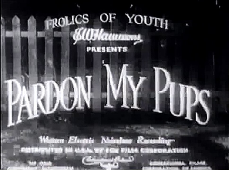 Pardon the Puppies – Chaos with a Wag