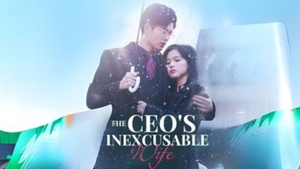 The Ceo's Inexcusable Wife Cn Shortswave Fyp
