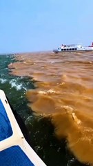 O encontro das águas!