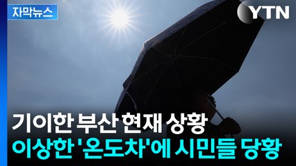 [자막뉴스] "이게 맞아?" 같은 도시에서 무려 '10도 차이'...기이한 부산 날씨 상황 / YTN
