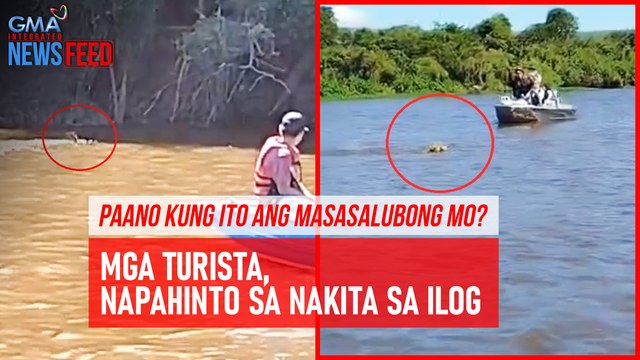 Paano kung ito ang masasalubong mo? Mga turista, napahinto sa nakita sa ilog | GMA Integrated Newsfeed