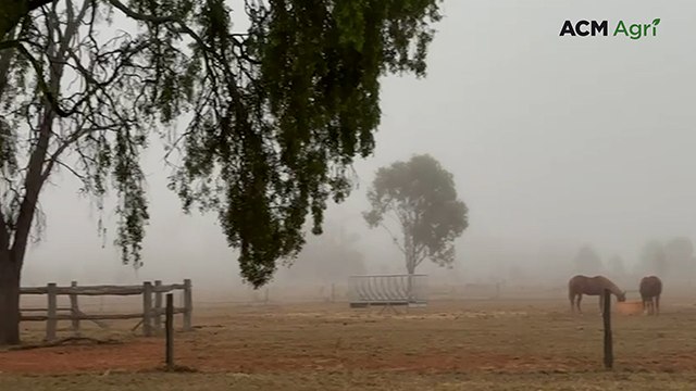 Rain and fog disrupt crops and grazing for farmers