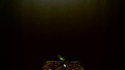 ♫ ¡No te preocupes! Busca el Reino de Dios y Su Justicia!! Canción Cristiana Original!!