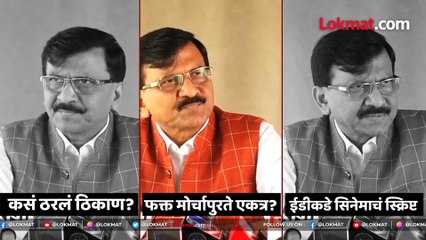 डीने नेलेलं "ठाकरे 2" सिनेमाचं स्क्रिप्ट परत मागणार, काय म्हणाले संजय राऊत?