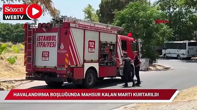 Avcılar'da havalandırma boşluğunda mahsur kalan martı kurtarıldı