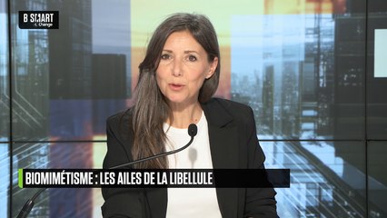 SMART TECH - Biomimétisme : des ailes de libellule à la lutte anti-bactérienne