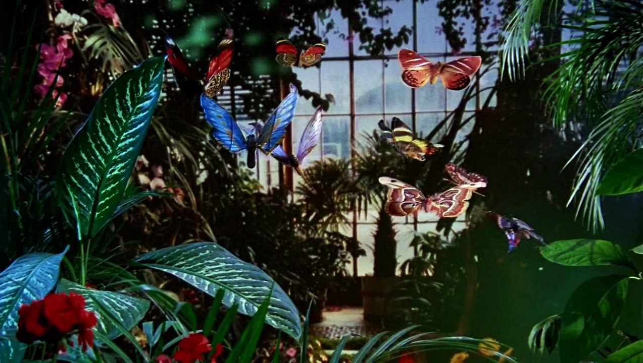 La Zapatilla Voladora 1991 Español Latino - The Flying Sneaker - Danger Pleine Lune - Motýlí Cas - Remastered