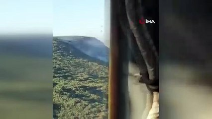 İzmir'deki Orman Yangınına Havadan Müdahale Yeniden Başladı