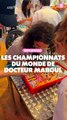 Reportage : Les championnats du monde de Docteur Maboul