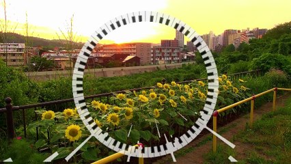 Youhei_red - Nostalgic Landscape 🎶 | Official Music Video & Streaming Links