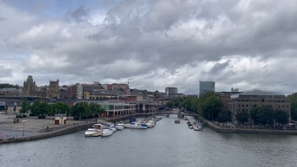 Bristolians Discuss the most annoying summer bugs