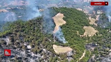 Manisa'da 3 ilçedeki orman yangınlarına müdahale sürüyor